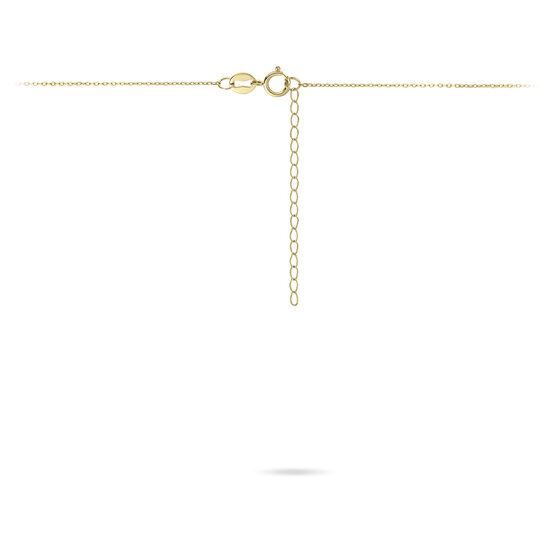 Halsketting 14 karaat goud met hanger briljantje model HT 