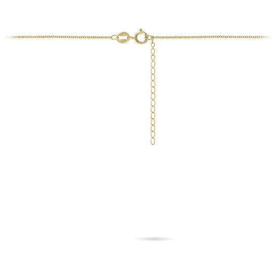 Halsketting 14 karaat goud met ronde hanger zwart edelsteen agaat model KH