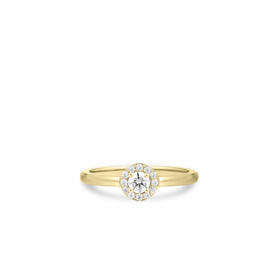 Ring 14 karaat goud diamanten model 227