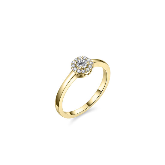 Ring 14 karaat goud diamanten model 227