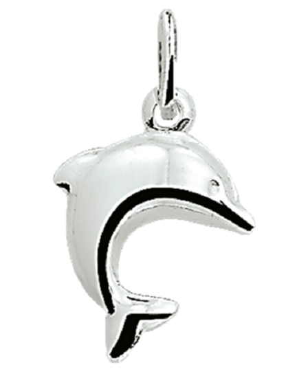 Kinder halsketting 925 zilver dolfijn model JB