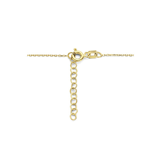Halsketting 14 karaat goud met ronde hanger infinity model DW