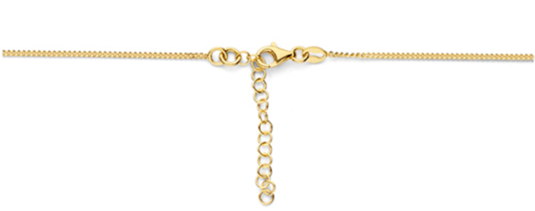 Halsketting gold plated met hanger rondje model EX