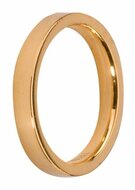 Melano matte goudkleurige ring