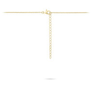Halsketting 14 karaat gold plated met zirkonia&#039;s model AM
