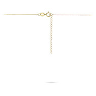 Halsketting 14 karaat goud met hanger briljantje model HT 