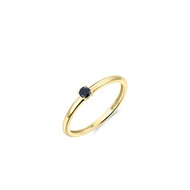 Ring 14 karaat goud zwarte zirkonia model 304