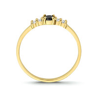 Ring 14 karaat goud briljant zwart &amp; transparant model 264