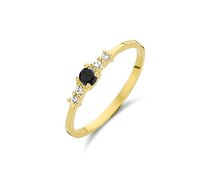 Ring 14 karaat goud briljant zwart &amp; transparant model 264