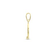 Halsketting 14 karaat goud met hanger rond zirkonia model EG