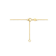 Halsketting 14 karaat goud met hanger hart model BE